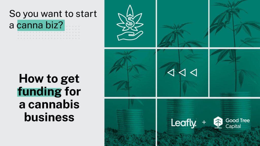 大麻ビジネスの資金調達方法
